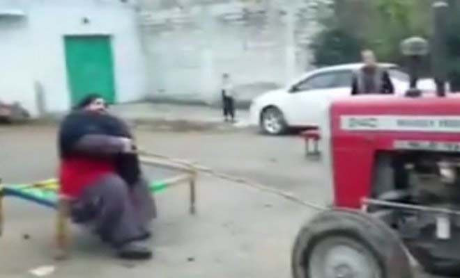 Ζυγίζει σχεδόν μισό τόνο και τα βάζει ακόμα και με… τρακτέρ (βίντεο)
